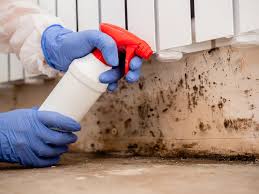 Mold Removal for HVAC Installations in Emory, TX